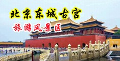大鸡巴操淫荡骚逼免费视频中国北京-东城古宫旅游风景区